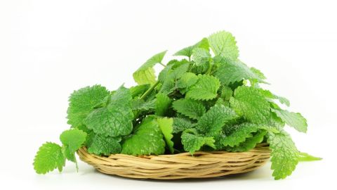 shutterstock_342242189