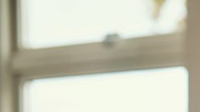 shutterstock_345006014