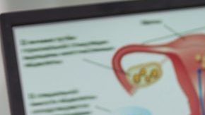 shutterstock_407531302