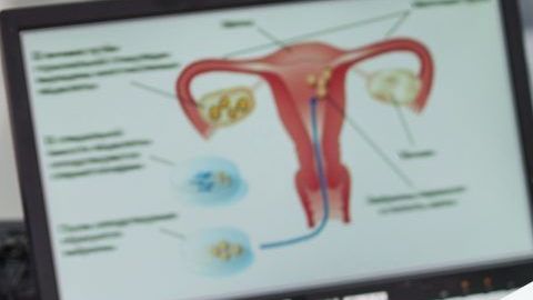 shutterstock_407531302