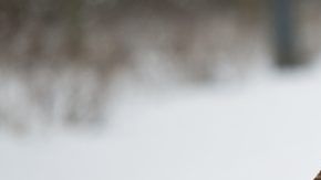 shutterstock_43769641