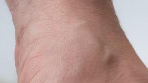 shutterstock_534930355