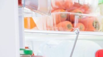 Aprende a limpiar tu refrigerador y evitar los malos olores.