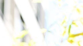 shutterstock_623123291