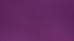 WhatsApp realizará una actualización.