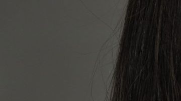 shutterstock_652044451