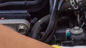 shutterstock_658325251