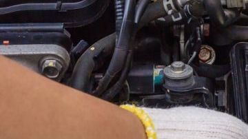 shutterstock_658325251