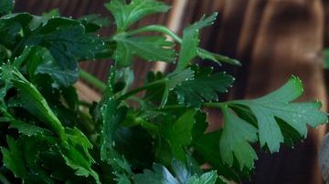 shutterstock_686270626