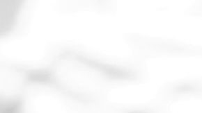 shutterstock_688752946