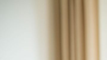 shutterstock_732055678