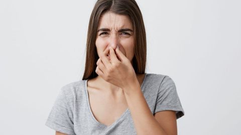 shutterstock_753494761