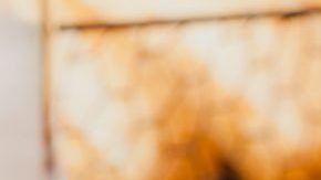 shutterstock_793164364