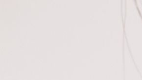 Sácate el mejor provecho con esta increíble técnica de maquillaje.