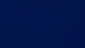 Robert Dante Siboldi podrá contar con algunos refuerzos de cara al Clausura 2020.