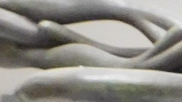 Los talleres son completamente gratis.