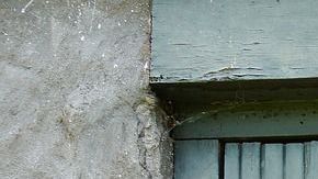 Tu casa necesita de ti, no permitas que ultrajen tu patrimonio.