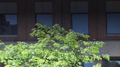 Trader Joe's ha cambiado el mercado de víveres en NYC