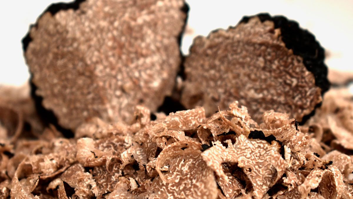 trufas-por-que-tan-caras.jpg?w=1200