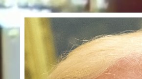 El presidente no acudirá a la conferencia de prensa final de la OTAN.