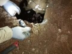 Túnel 124 descubierto en la frontera de Nogales.