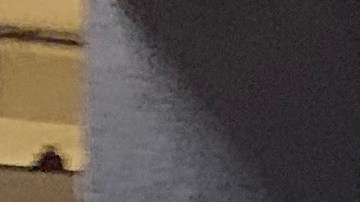 Los trenes nuevos fueron comprados en el 2012, pero apenas funcionaron en el 2017.