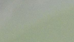 Miss Venezuela 2017, Sthefany Gutiérrez.