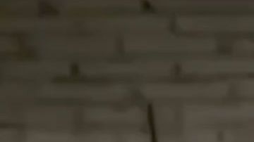 VIDEO: Grupo Élite del CJNG así interrogó a policías antes de descuartizarlos