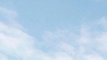 El partido entre el Atlético de Madrid y Betis dejó una hermosa postal que tendrá buenos fines