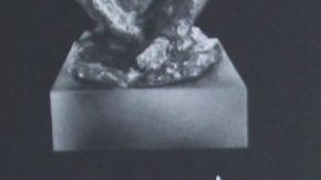 Willie Colon en los Premios Musa