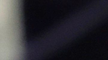 Zinedine Zidane técnico y leyenda del Real Madrid.