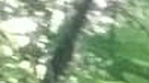 La flor roja con manchas blancas mide 3,6 pies.