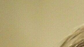 Pelosi y Trump se enfrentan para limitar kas acciones militares contra Irán.