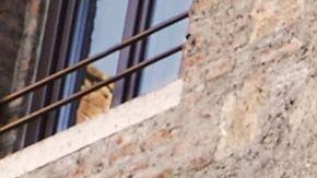 Balcón de la casa de Julieta en Verona, Italia.