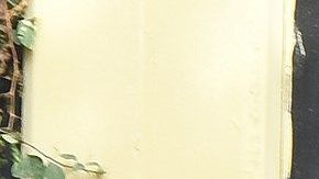 Expertos consideran que el gobernador se precipitó al decir que un videojuego inspiró al menor.