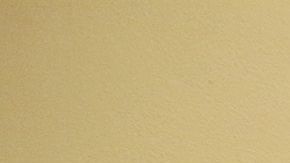 Asesoría legal para estudiantes indocumentados de CSU.