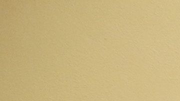 Asesoría legal para estudiantes indocumentados de CSU.