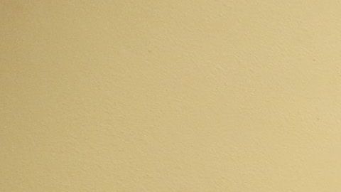 Asesoría legal para estudiantes indocumentados de CSU.