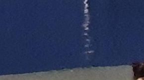 Un residente los grabó y compartió el video en Internet.