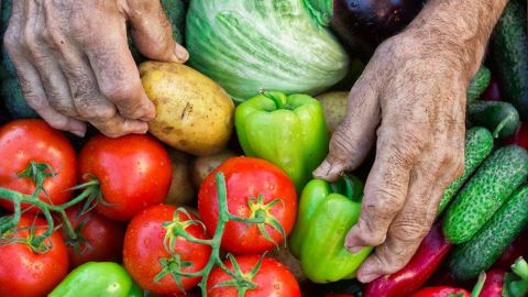 Adelgaza de manera saludable y natural integrando el consumo de estos poderosos alimentos en tu dieta diaria.