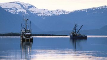 Ahora Canadá y Estados Unidos luchan por la pesca de salmón.