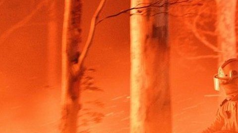 Los incendios provocaron la muerte de al menos 23 personas.