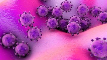 Antes de este, se conocían seis coronavirus que podían infectar al ser humano.