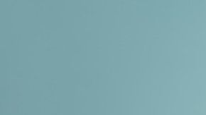 Cada año de vida de un perro no equivale a 7 años humanos, como muchos piensan.