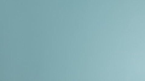 Cada año de vida de un perro no equivale a 7 años humanos, como muchos piensan.