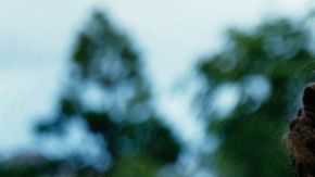 Eduardo dejó la corona, a su familia y a su país por amor a Wallis Simpson.