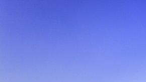 Los depósitos de carbono azul son clave para la salud del planeta.