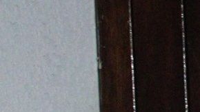 Las autoridades no creen que sea un crimen "contra su gremio o una nacionalidad específica".