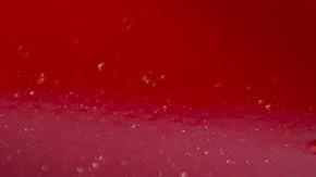 El auto tiene un valor de más de $300,000 dólares /EFE