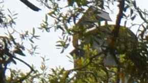 La entrada principal de la base aeronaval en Pensacola.